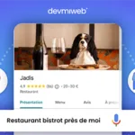 Stratégie de visibilité locale sur Google My Business pour des entreprises de Nice, service proposé par Devmiweb